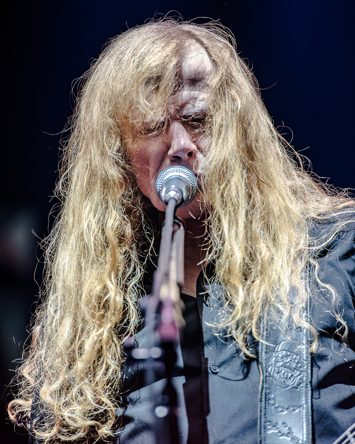 Megadeth - This Was Our Life